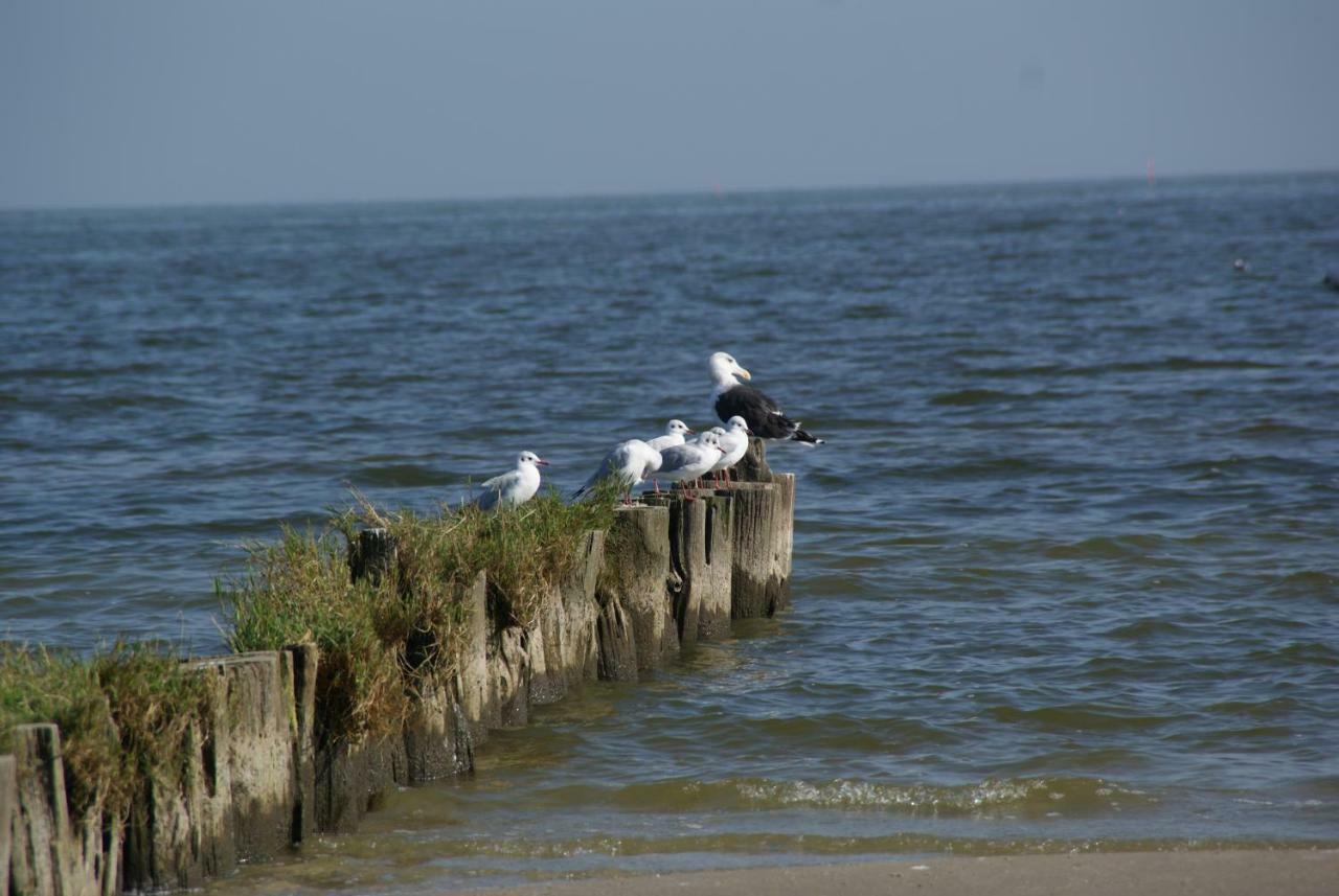 Ferienhaus "Strandgut" Ueckermünde Exteriör bild